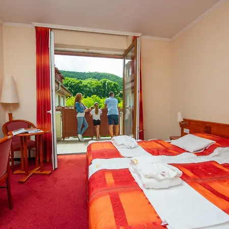 Erzsebet Park ホテル 3*