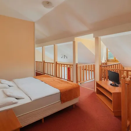 ホテル Erzsebet Park 3*