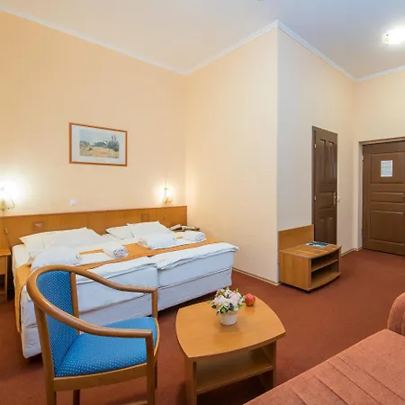 Erzsebet Park ホテル 3*