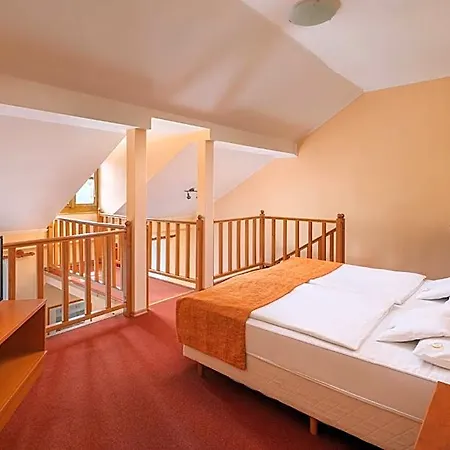 Erzsébet Park Hotel 3*