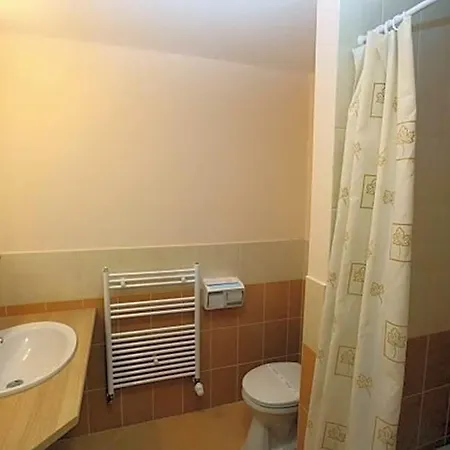 Erzsébet Park Hotel 3*