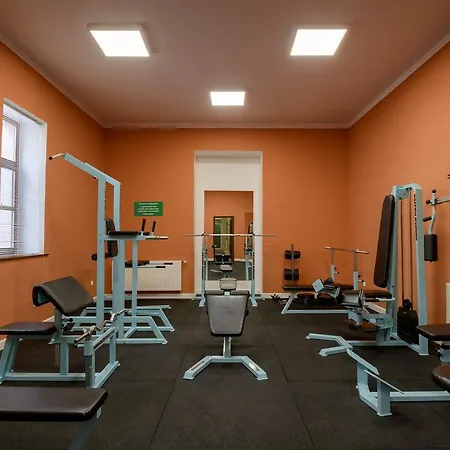 ホテル Erzsebet Park Parád